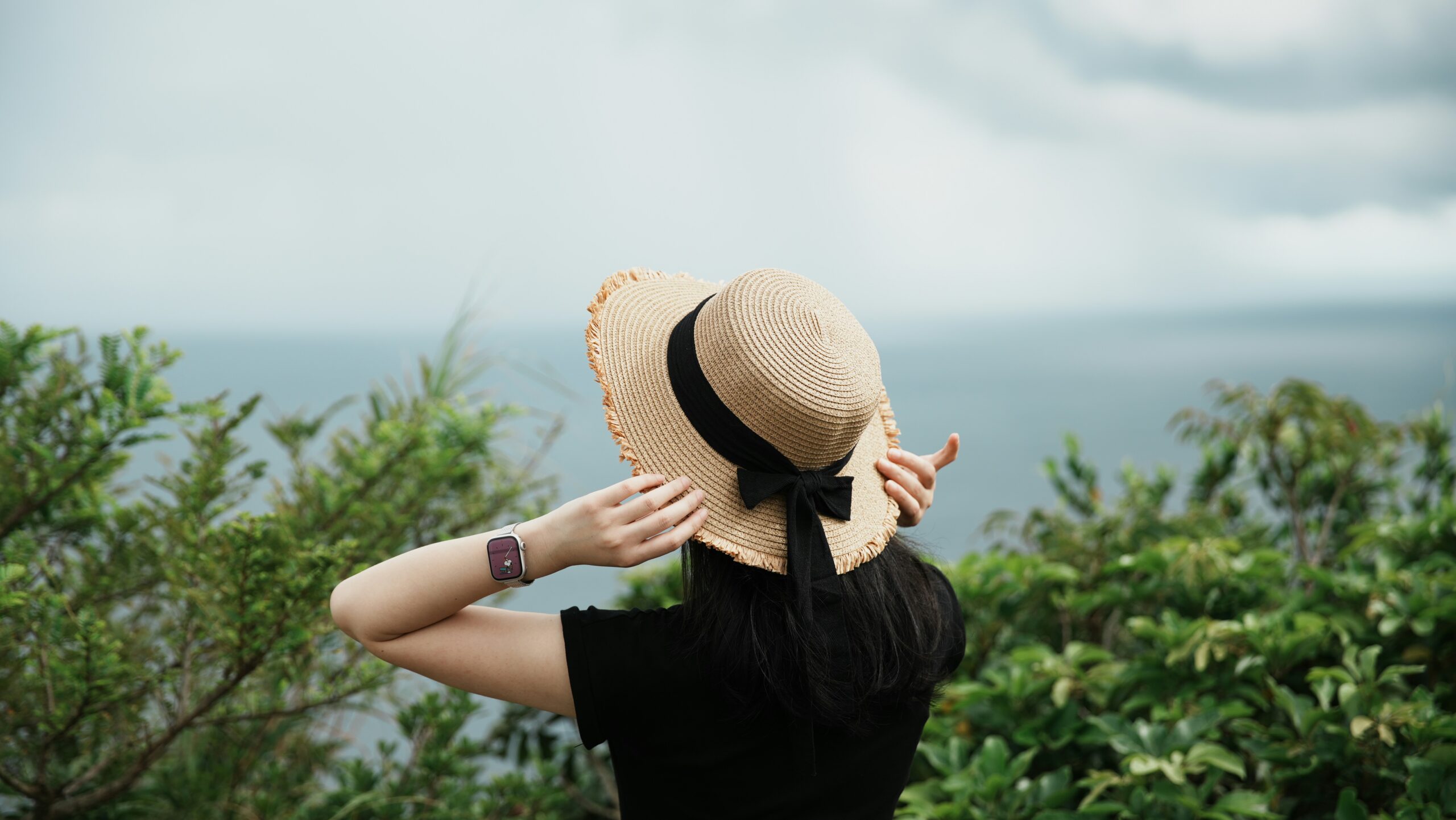 Remote work visas