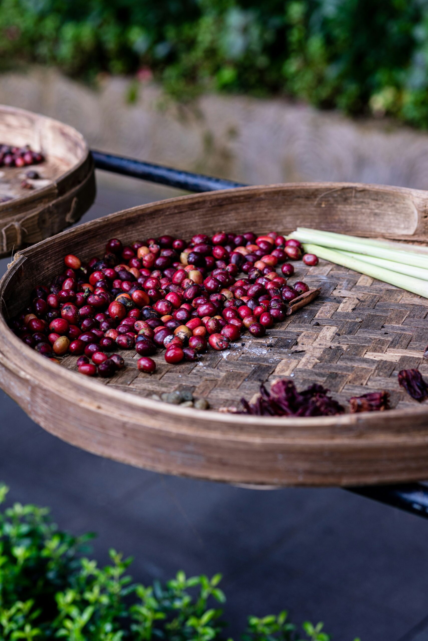 Fibermaxxing Wellness Trend 2025 – Healthy Lifestyle