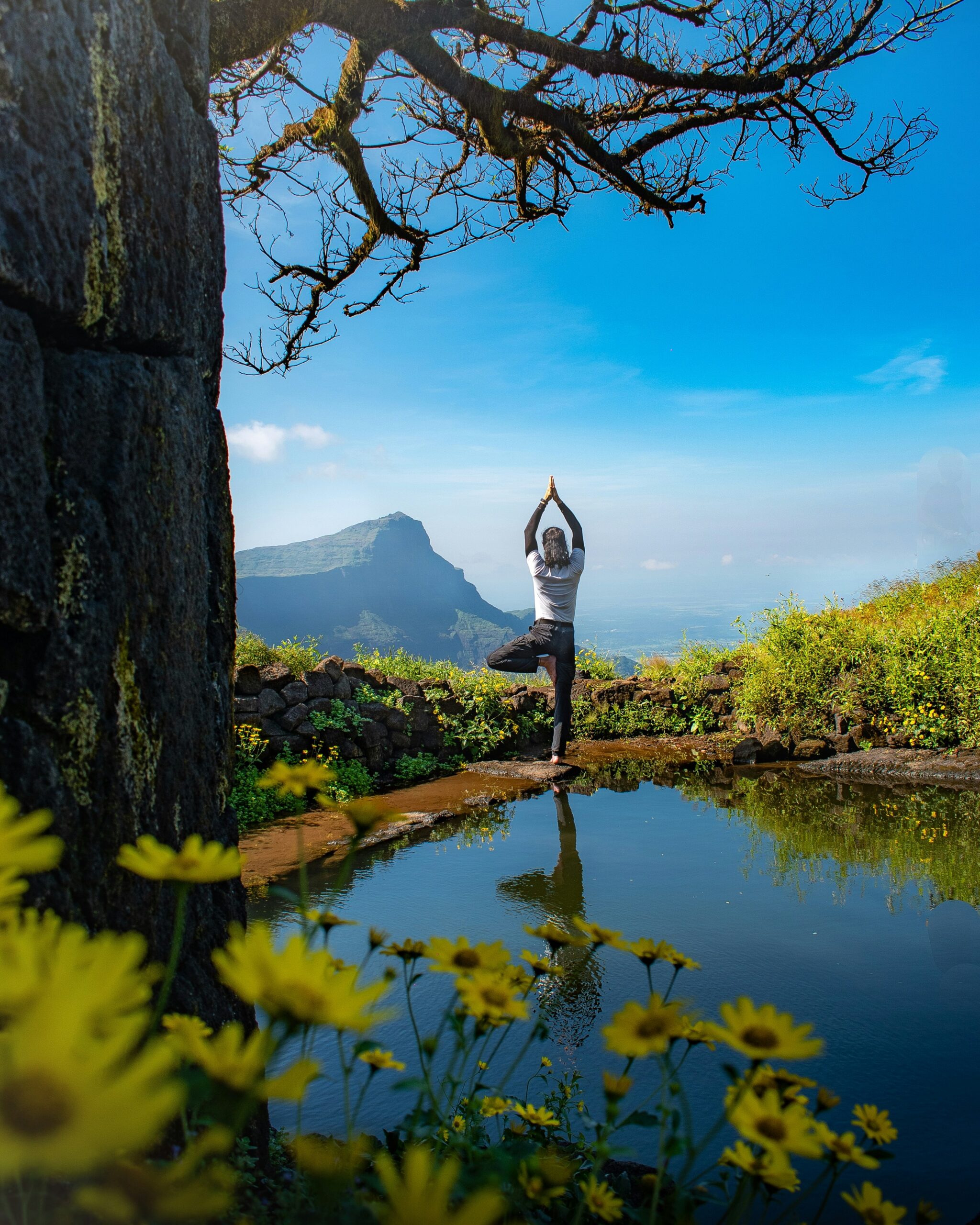Wellness on a Budget: Affordable Ways to Stay Fit & Healthy
