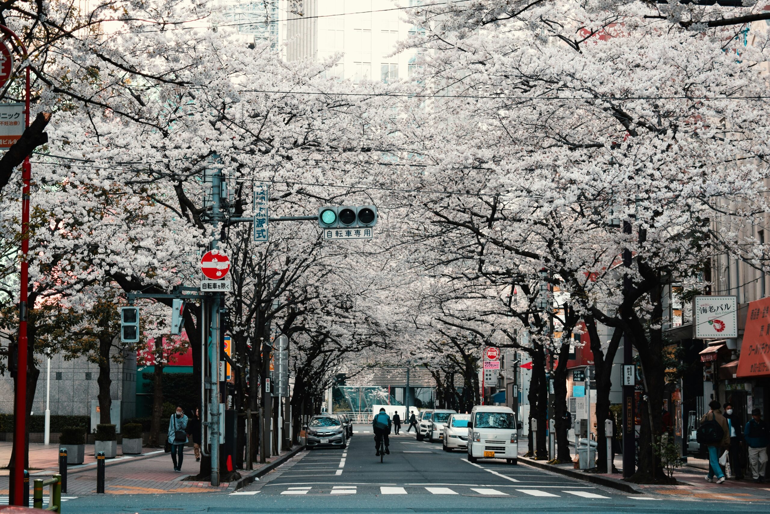 How to Become a Digital Nomad 2025 – Tokyo Japan