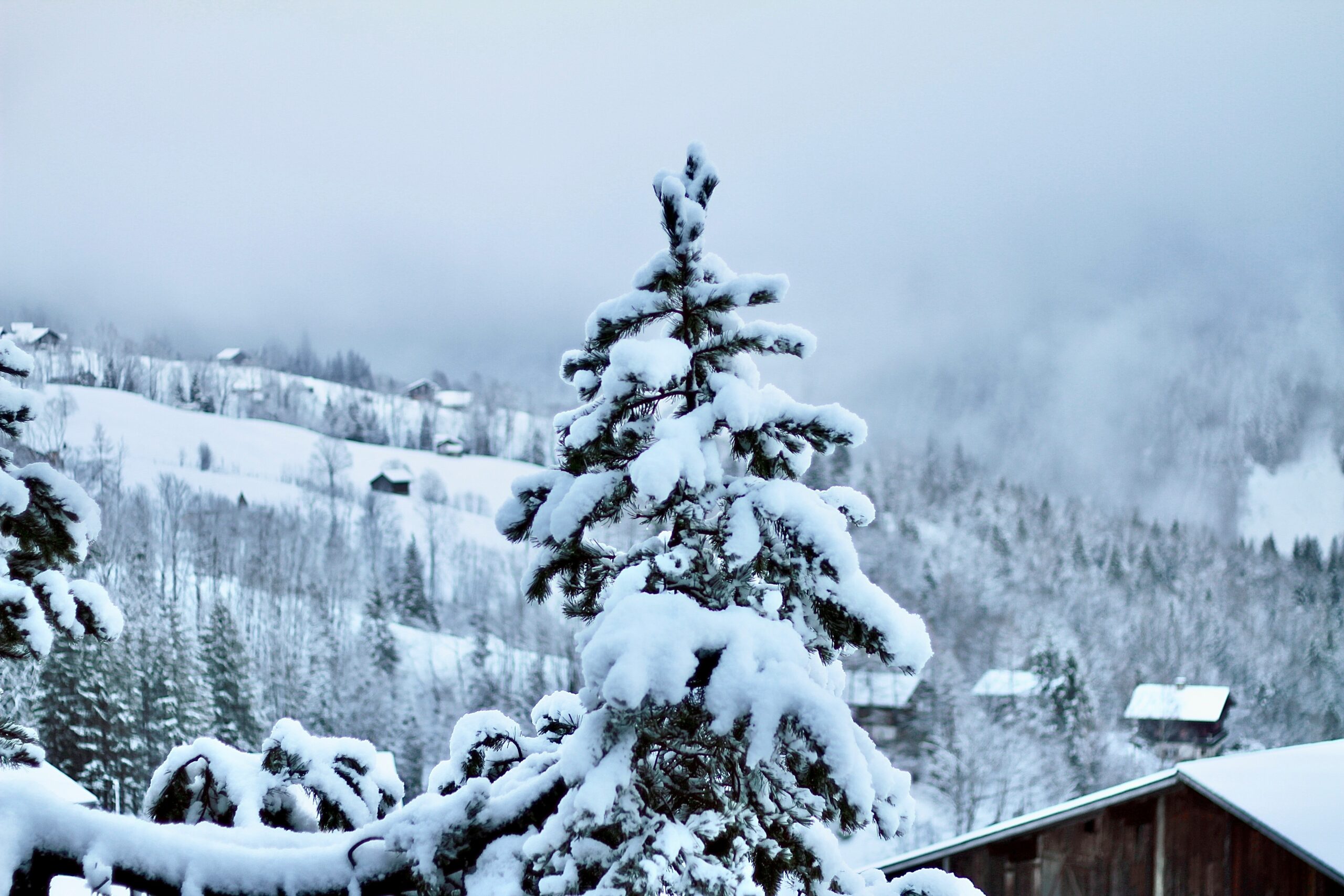 Winter Travel Trends 2025